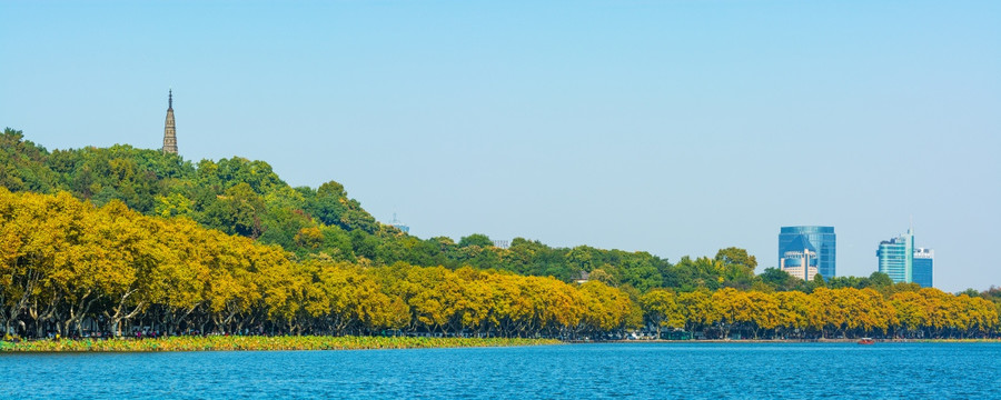 西湖 秋景