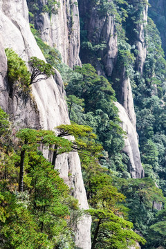 三清山风景