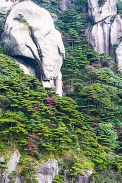 三清山风光