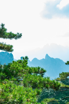 三清山风光