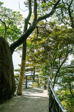 三清山风景