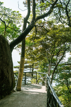 三清山风景