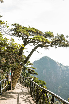 三清山风景