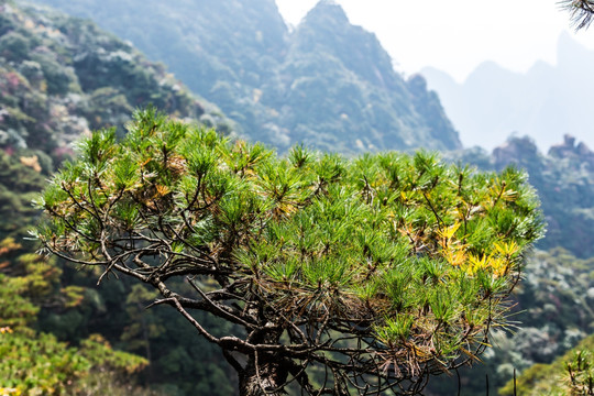 三清山风光