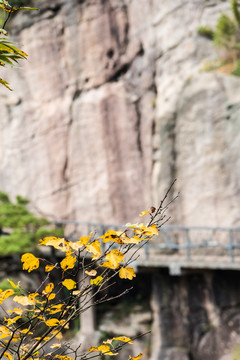 三清山风光