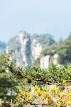 三清山风景