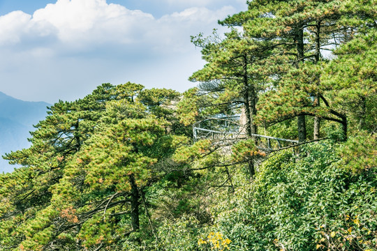 三清山风景