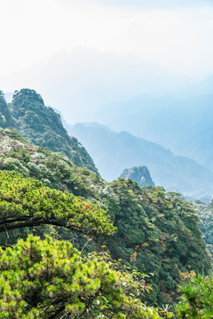 三清山风光