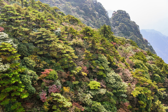 三清山秋景