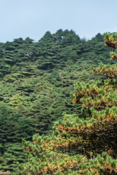 三清山风光