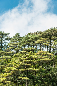 三清山风光