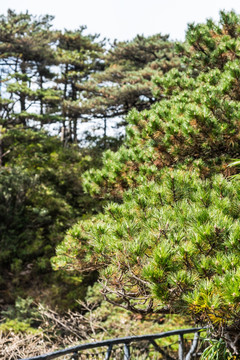 三清山风光