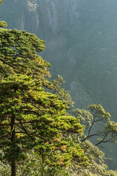 三清山风光