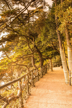 三清山风光