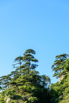 三清山风景