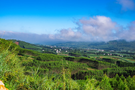 风景