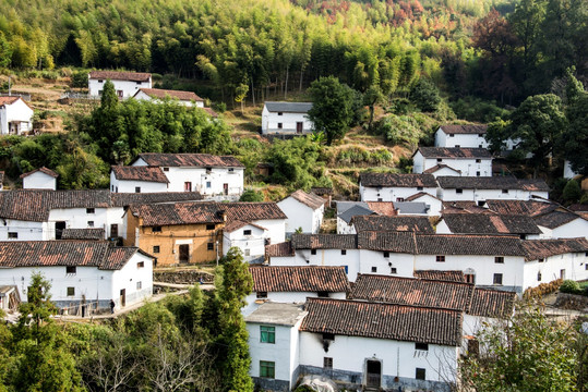 山村风景