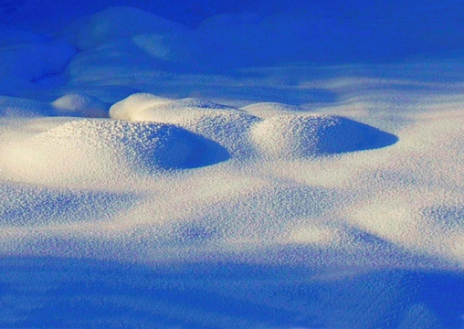 暖阳下的白雪