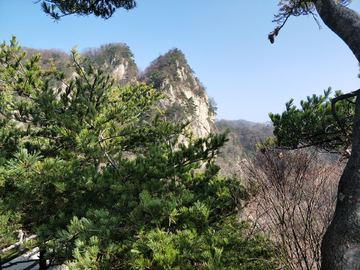 青山