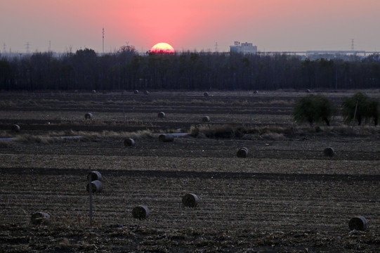 农田 秸秆捆 大草卷 夕阳