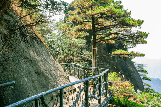 三清山风景