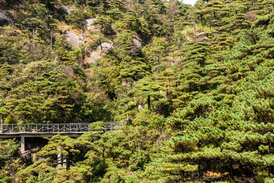 三清山风景