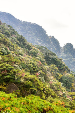 三清山风光