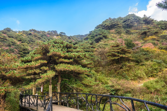 三清山风光