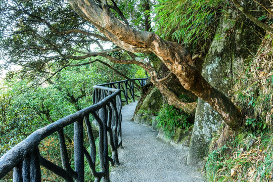 三清山风光