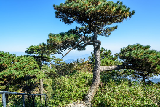 三清山风光
