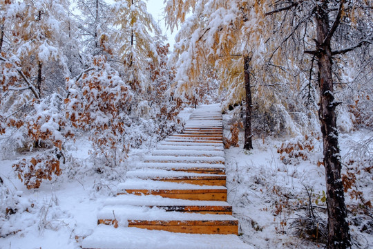 秋天瑞雪