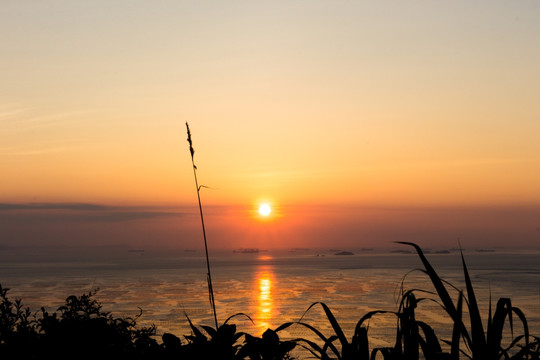 海上日落