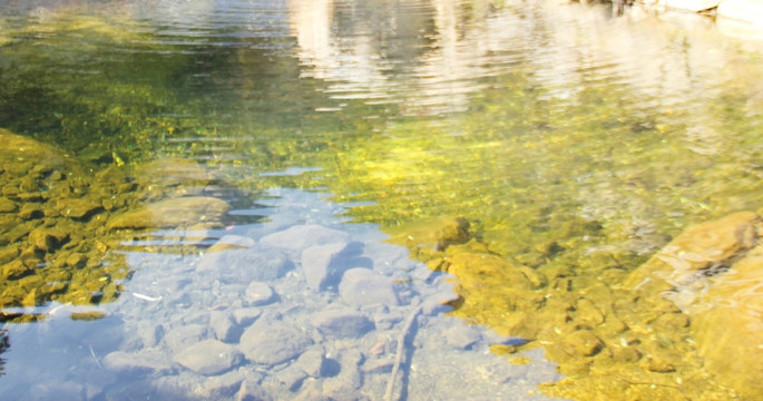 水纹背景  水池