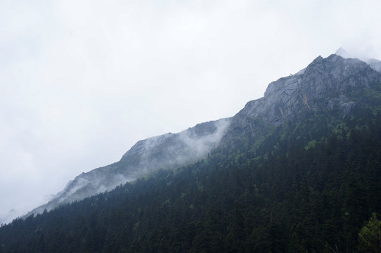 毕棚沟 雪山 风景摄影