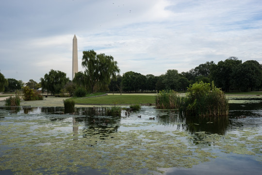 远眺华盛顿纪念碑