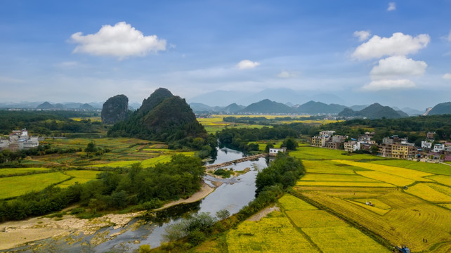金色田园