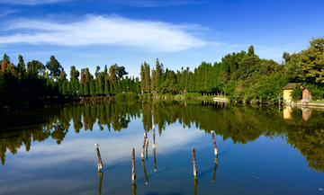 湖畔风景