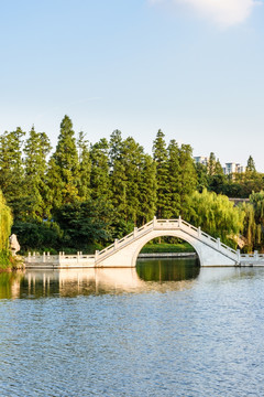 白鹭洲公园景观