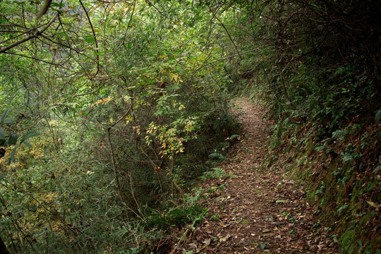 山间小路