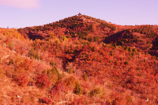 山野秋色