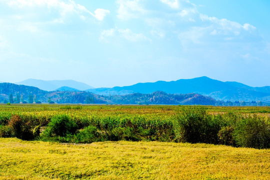 远山田野