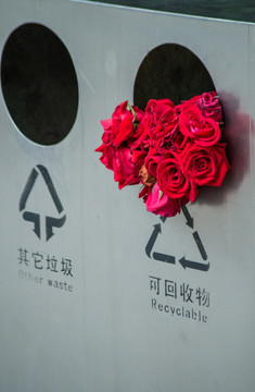 垃圾箱里的玫瑰花