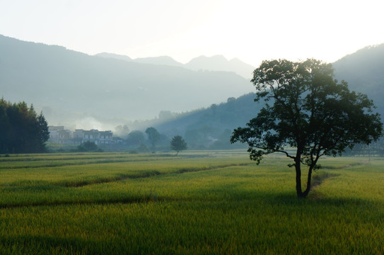 黄山宏村