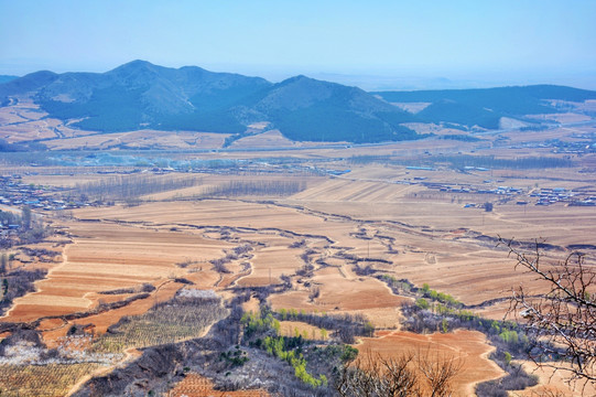 平原