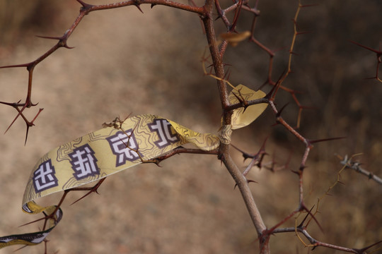 户外