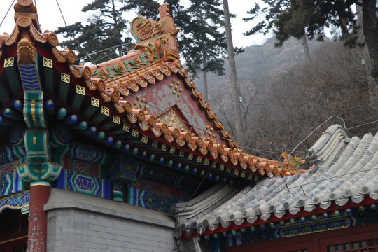 寺庙