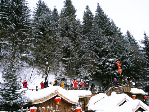 观光雪乡