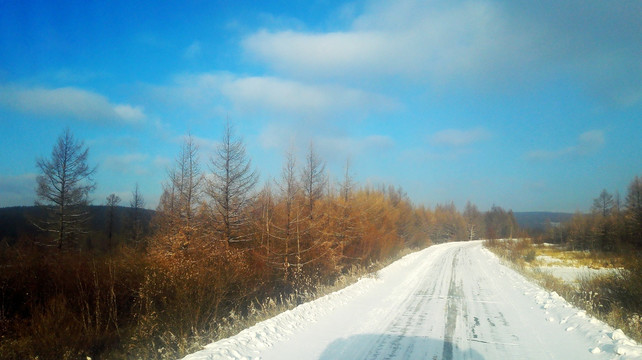 冬季森林雪路