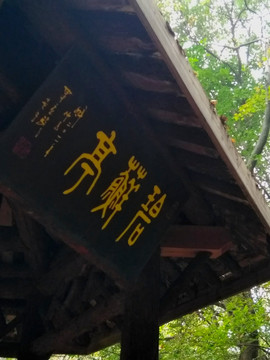 栖霞之秋