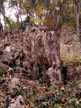 栖霞山之秋